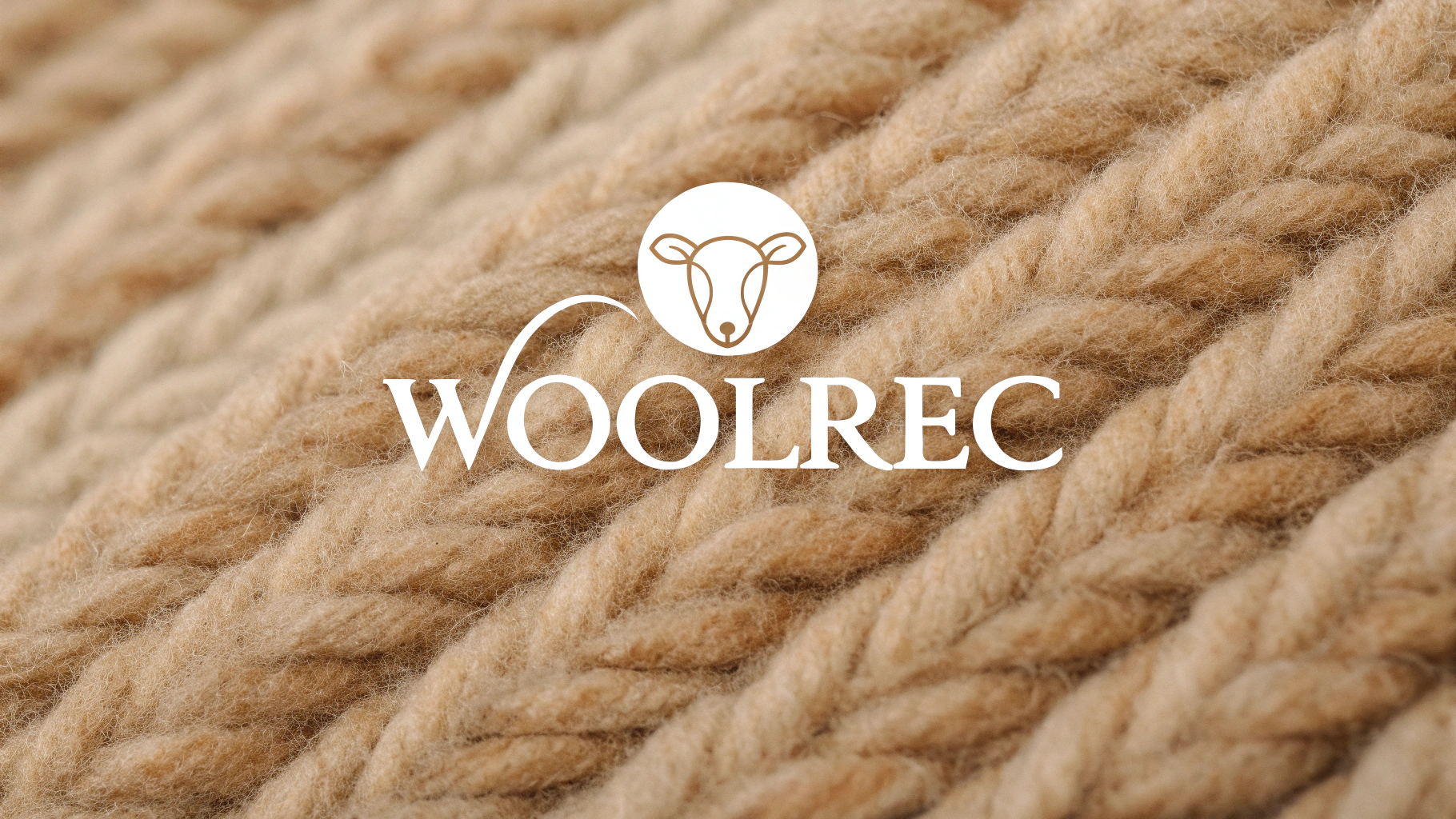 woolrec – A Complete Guide